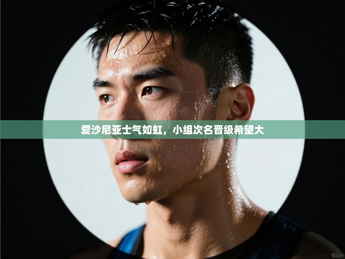 爱沙尼亚士气如虹，小组次名晋级希望大