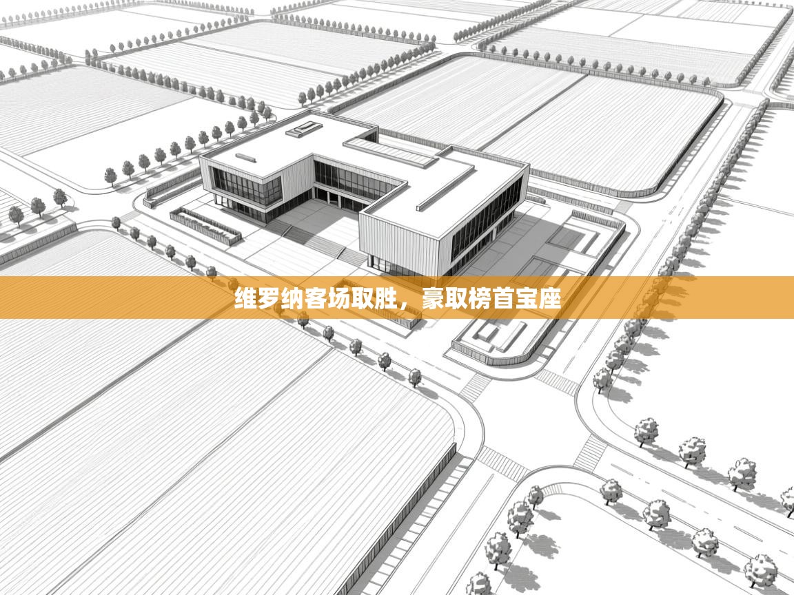 维罗纳客场取胜，豪取榜首宝座  第1张