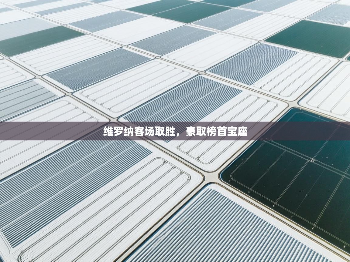 维罗纳客场取胜，豪取榜首宝座  第2张