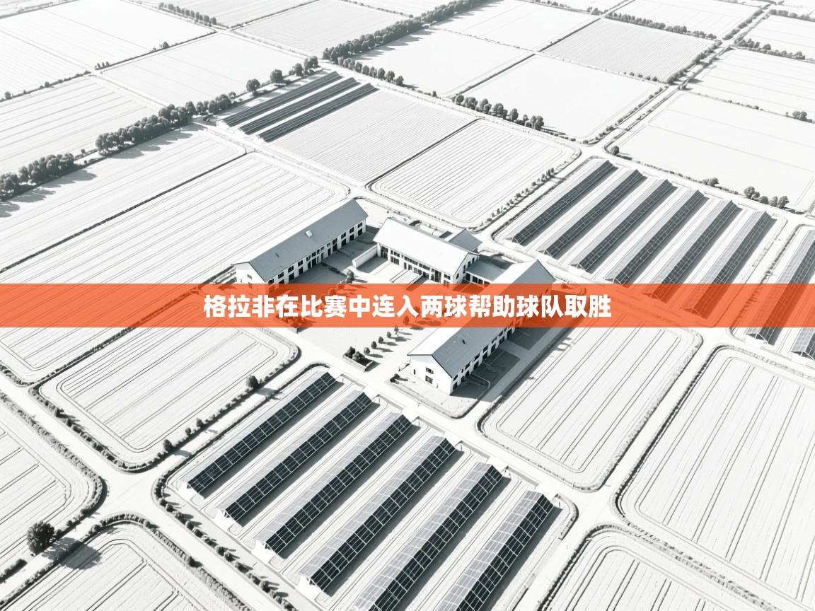 格拉非在比赛中连入两球帮助球队取胜