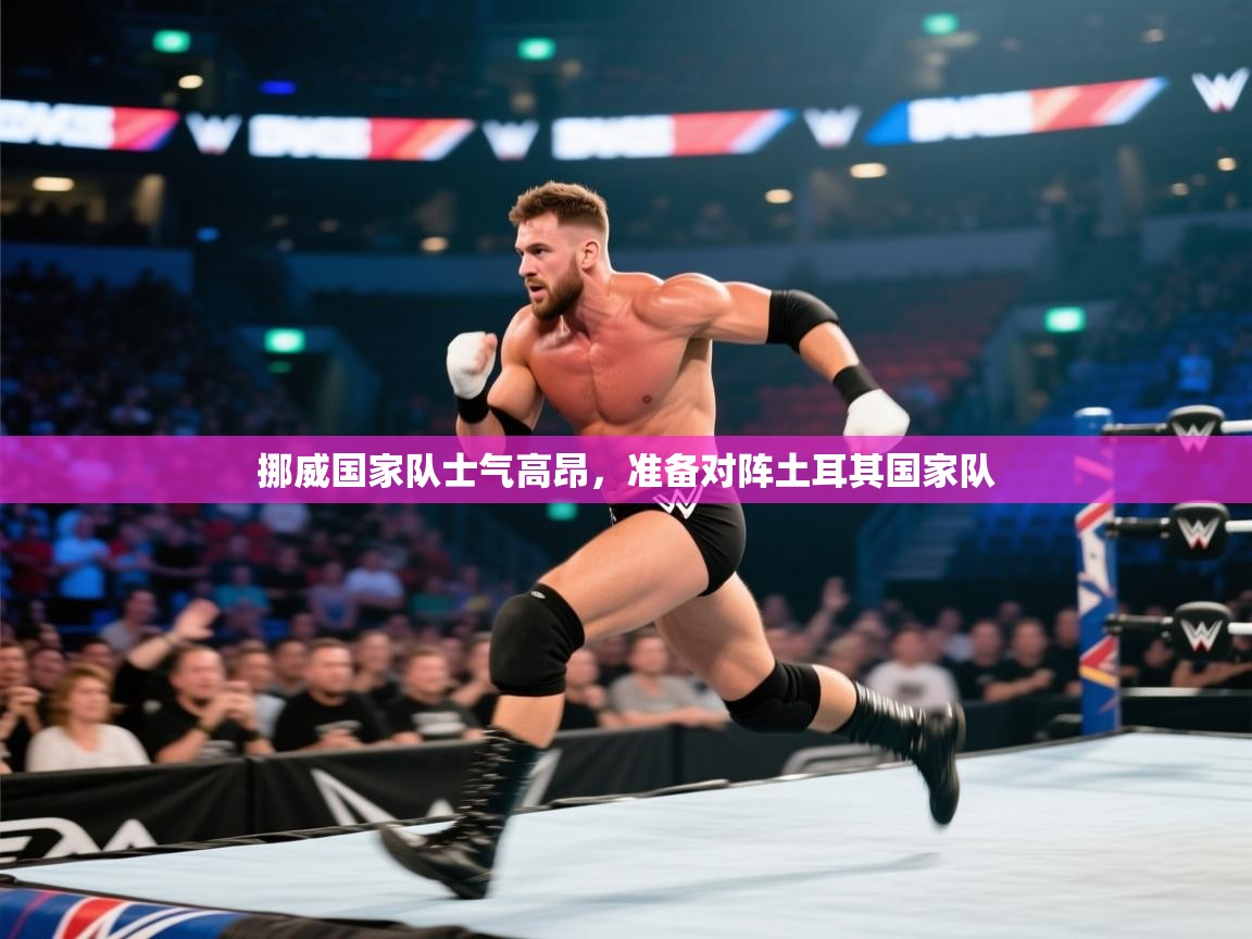 挪威国家队士气高昂，准备对阵土耳其国家队  第1张