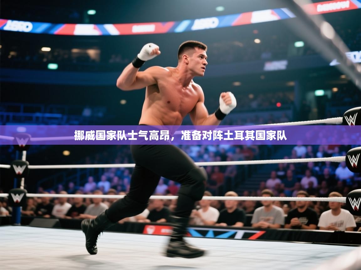 挪威国家队士气高昂，准备对阵土耳其国家队  第2张