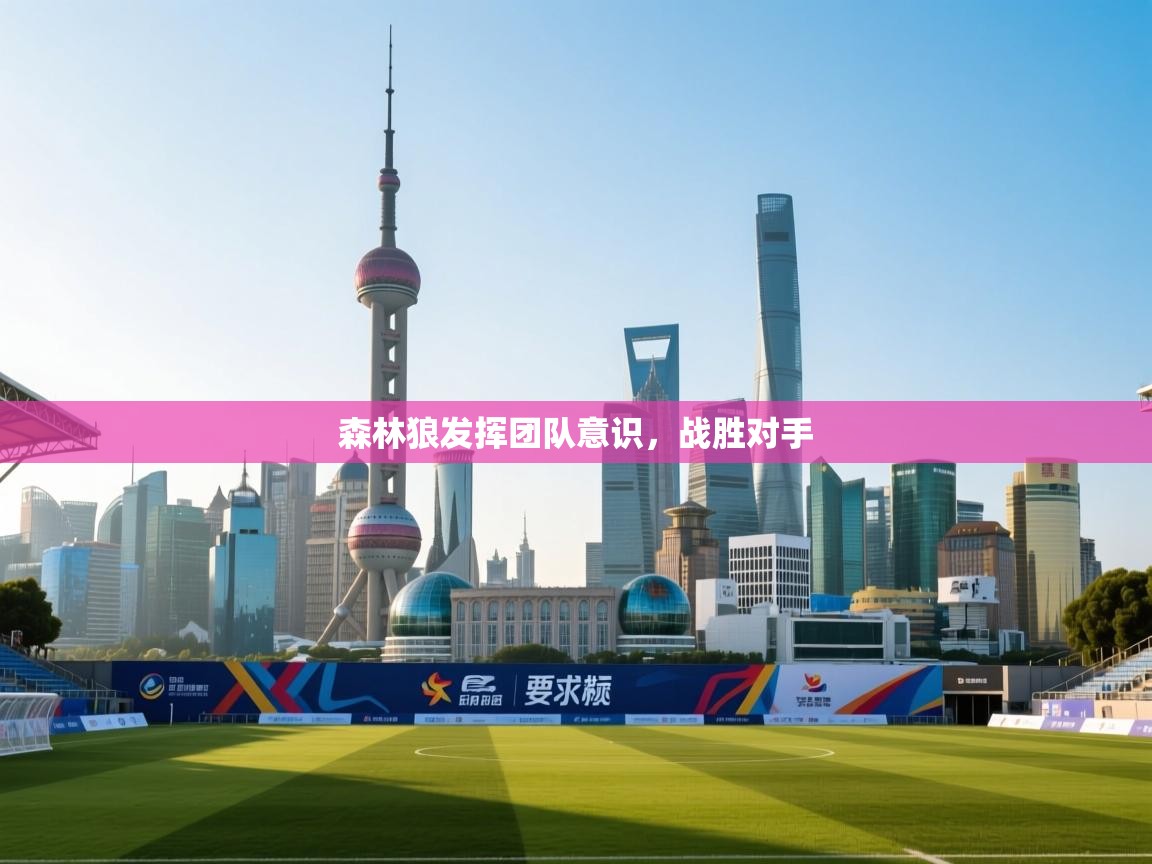 森林狼发挥团队意识，战胜对手