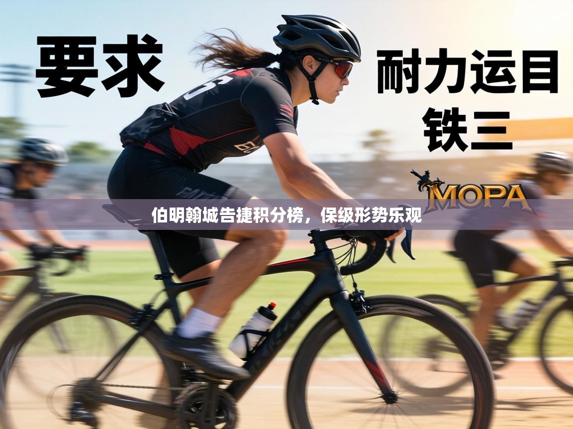 伯明翰城告捷积分榜，保级形势乐观